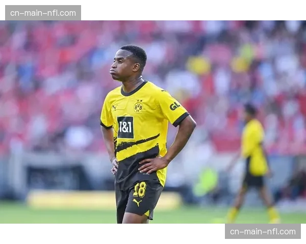 多特蒙德青训营报告：本年度有7名球员晋升至一线队训练